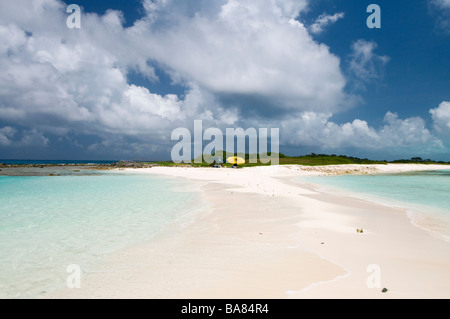 White Sand Beach auf Espenqui Los Roques Venezuela in Südamerika Stockfoto