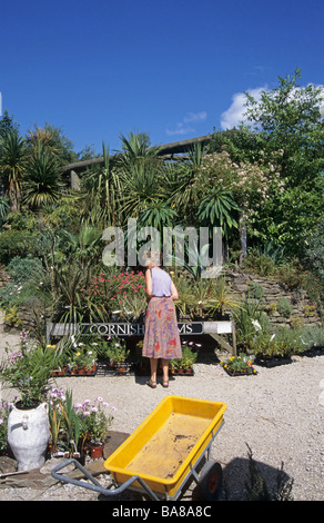 mittlere gealterte Frau in Trebah Garden Mawnan Smith in der Nähe von Falmouth Cornwall england Stockfoto