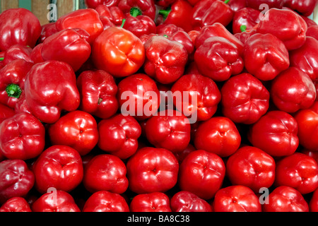 Rote Paprika auf dem Display in der Obst und Gemüse Markt in Funchal Stockfoto