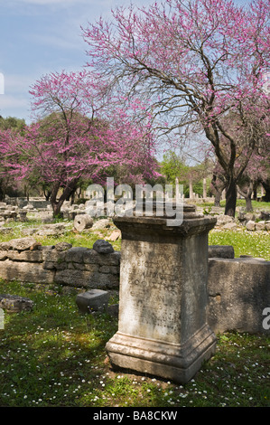 Palestra olympia sport