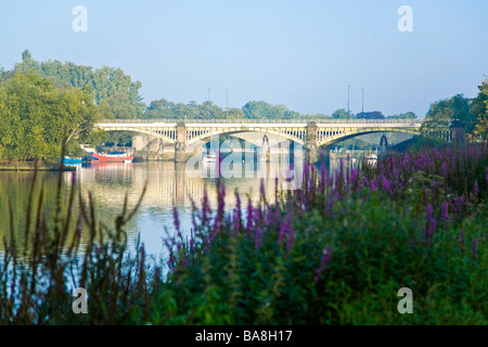 Einen frühen Morgen am Flussufer Blick auf Richmond Eisenbahnbrücke über der Themse flussabwärts von Richmond mit der Straßenbrücke hinter Stockfoto