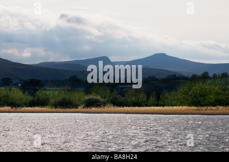 Llangorse See in Wales mit Pen y Fan in der Ferne.  Foto von Gordon Scammell Stockfoto