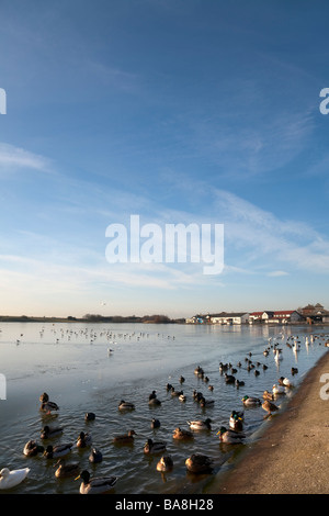 Fairhaven See im Winter Stockfoto