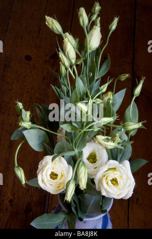 weiße Lisianthus Blumen in einer vase Stockfoto