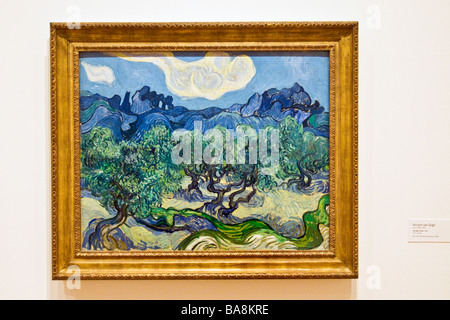 Die Olivenbäume von Vincent Van Gogh 1889 MOMA Museum of Modern Art Manhattan New York Vereinigte Staaten von Amerika Stockfoto