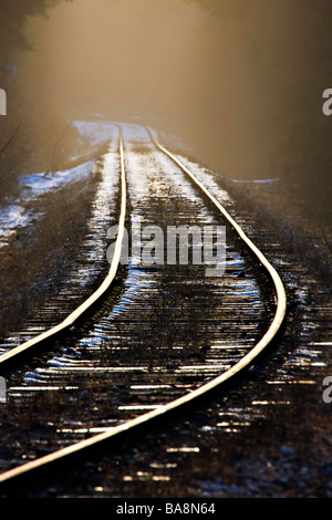 Nebel schwebt Railway tracks mit eine leichte Decke von Schnee auf dem Boden in der späten Nachmittag Sonne in der Nähe von Beaver Cove. Stockfoto