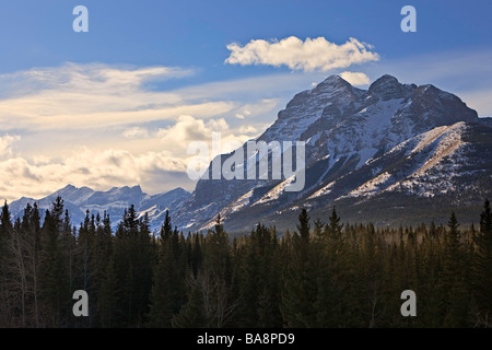 Pinienwälder führen hinauf zu den Ausläufern des Gebirges. Stockfoto