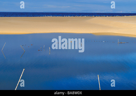 Strand und Dünen an der Praia de Melides Stockfoto