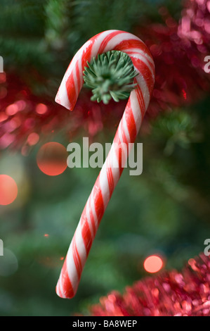 Zuckerstange Weihnachtsbaum hängen Stockfoto