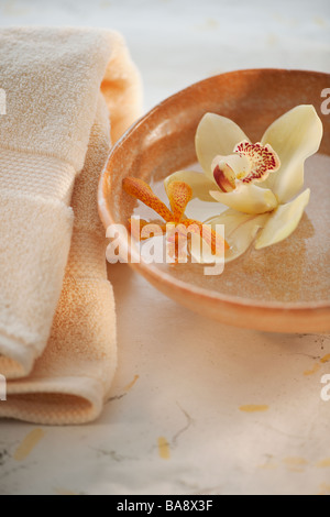 Tropische Blumen in Schüssel mit Wasser Stockfoto