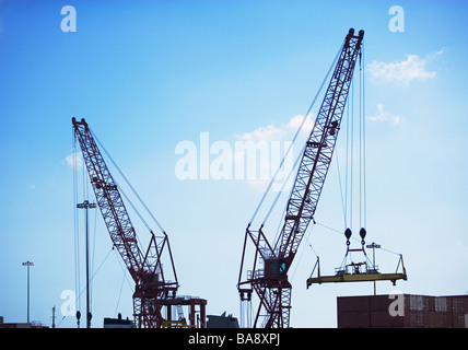 Krane, Container verschieben Stockfoto