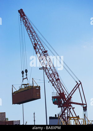 Krane, Container verschieben Stockfoto