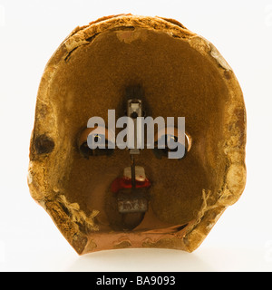 Antike Puppe Kopf zerbrochen Stockfoto