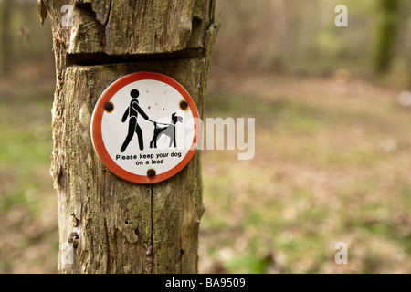 Bitte halten Sie Ihren Hund auf einem Schild führen auf einem hölzernen Pfosten Stockfoto