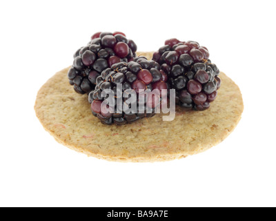 Frische, gesunde Reif Sommer Brombeeren mit dünnen knusprige Kekse Oatcake vor einem weißen Hintergrund ohne Menschen und einen Freistellungspfad isoliert Stockfoto