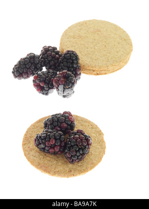 Frische, gesunde Reif Sommer Brombeeren mit dünnen knusprige Kekse Oatcake vor einem weißen Hintergrund ohne Menschen und einen Freistellungspfad isoliert Stockfoto