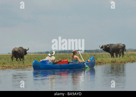 Reisen Kanu Safari Kanu Kanus Zambezi Fluss Kanuten African erleben Sie afrikanische Fluss Abenteuer abenteuerliche Erforschung e Stockfoto