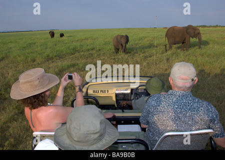 Touristen sehen Elefanten in Simbabwes Matusadona Nationalpark Lake Kariba Stockfoto
