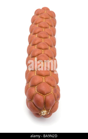 Objekt auf weißen Lebensmittel, geräucherte Wurst Stockfoto