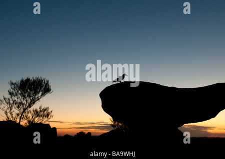 Skulptur-Symposium in Living Desert Reserve Broken Hill New South Wales Australien Stockfoto