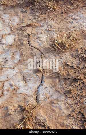 die ausgetrockneten Boden von einem ehemaligen Seegrund welche völlig verschwanden im Jahr 1999 aufgrund des Klimawandels Dürre in China induzierte Stockfoto