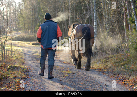 Ein Arbeiten im Wald Schweden woodman Stockfoto