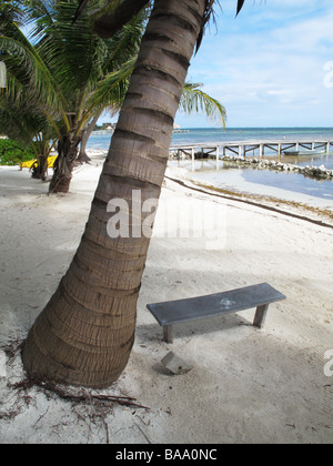 Sonnenaufgang und leere Holzbank auf Ambergris Caye, Belize Stockfoto