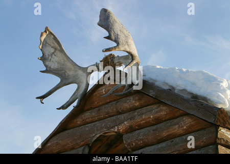 Caribou Geweih und Schnee auf dem Dach einer Blockhütte in Old Crow, Yukon Territorium, Kanada. Stockfoto