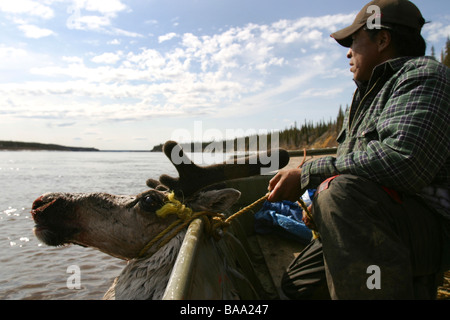 Ein First Nations Jäger mit seinem Stachelschwein-Karibus auf seinem Boot auf dem Porcupine River in der Nähe von Old Crow, Yukon Territorium, Kanada. Stockfoto