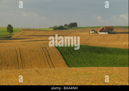Landwirtschaft-Bezirk, Skane, Schweden Stockfoto, Bild: 57228304 - Alamy