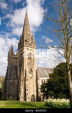 Llandaff Cathedral und Narzissen im Frühjahr Stockfoto