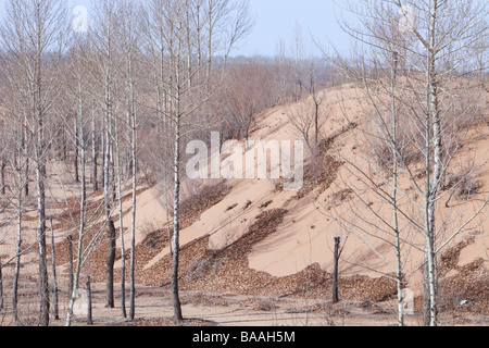 Klimawandel verursachten Desertifikation in der Provinz Shanxi, Nordchina, Sanddünen bedecken Land einmal bewirtschaftet Stockfoto