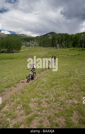 Eine Gruppe von Mountainbikern, Reiten auf einem Pfad in den Abajo Mountains nahe Montecello, Utah. Stockfoto