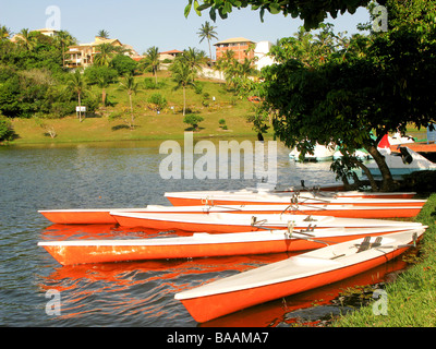 Park in Salvador da Bahia, in der Nähe von Flamingo Beach, Brasilien Stockfoto