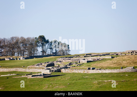 Roman Fort Ruinen am Hadrianswall. Housesteads Northumberland Nationalpark Northumberland England UK Stockfoto