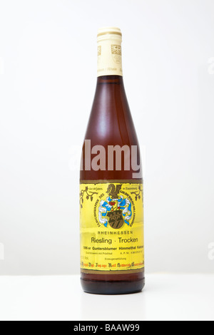 Flasche deutschen Wein Rheinhessen Riesling Trocken weiß Stockfoto