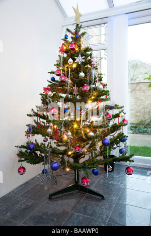 Weihnachtsbaum Stockfoto