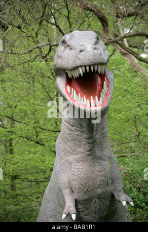 Tyrannosaurus Rex Modell in Lebensgröße Stockfoto