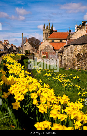 Narzissen neben Castlegate in North Yorkshire Helmsley Stockfoto