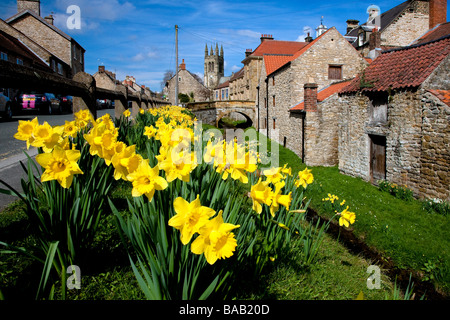 Narzissen neben Castlegate in North Yorkshire Helmsley Stockfoto