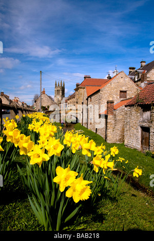 Narzissen neben Castlegate in North Yorkshire Helmsley Stockfoto