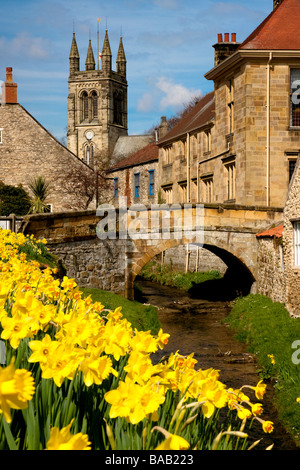 Narzissen neben Castlegate in North Yorkshire Helmsley Stockfoto