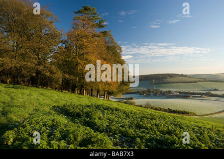 Blick auf Coombe, Hampshire Stockfoto