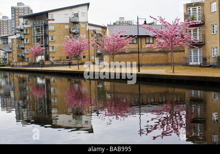 Wohnsiedlung im Frühjahr blühen von Hertford Union Canal, London, UK, England. Stockfoto