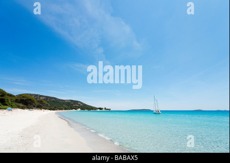 Palombaggia Strand in der Nähe von Porto-Vecchio, Corse-du-Sud, Korsika, Frankreich Stockfoto