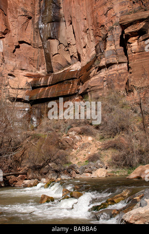 die Jungfrau Flussbett entlang der Uferpromenade Tempel des Sinawava Zion Canyon National Park in Utah usa Stockfoto