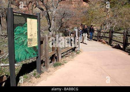 Info-Tafeln zu Beginn der Uferpromenade Tempel der Sinawava Zion Canyon National Park in Utah usa Stockfoto