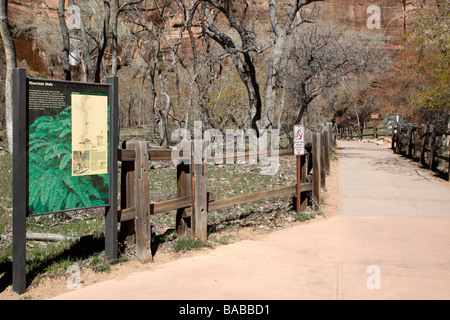 Info-Tafeln zu Beginn der Uferpromenade Tempel der Sinawava Zion Canyon National Park in Utah usa Stockfoto