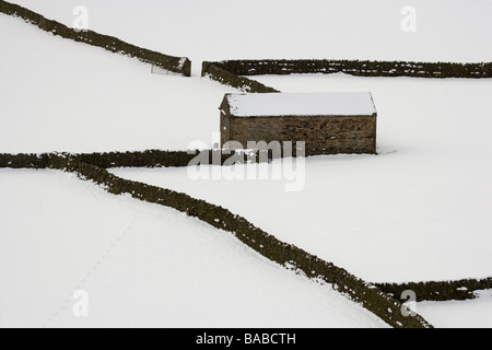 Gunnerside Yorkshire Dales im winter Stockfoto