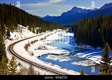 Eisenbahnschienen schlängelt sich durch Kiefernwald im Winter. Stockfoto